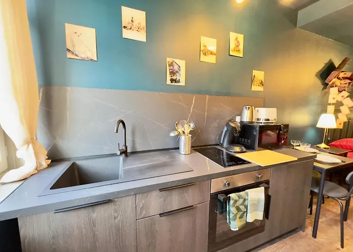 公寓 Le Des Sorciers ! Hyper Centre